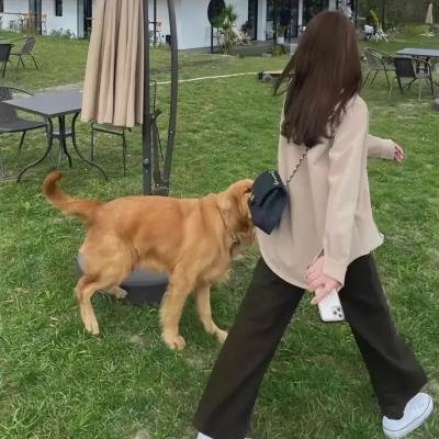 民间传奇之宝莲灯粤语